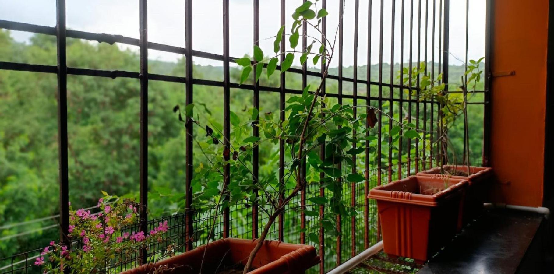 Farm stay Abhayanand Agro Tourism